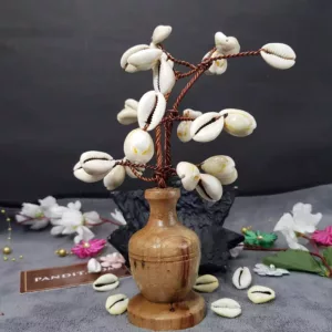 Grey Kaudi Tree