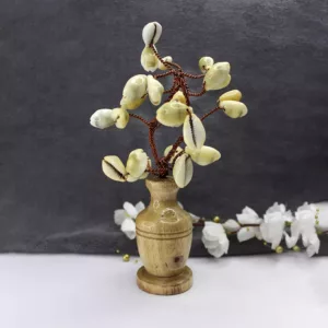 Yellow Kaudi Tree